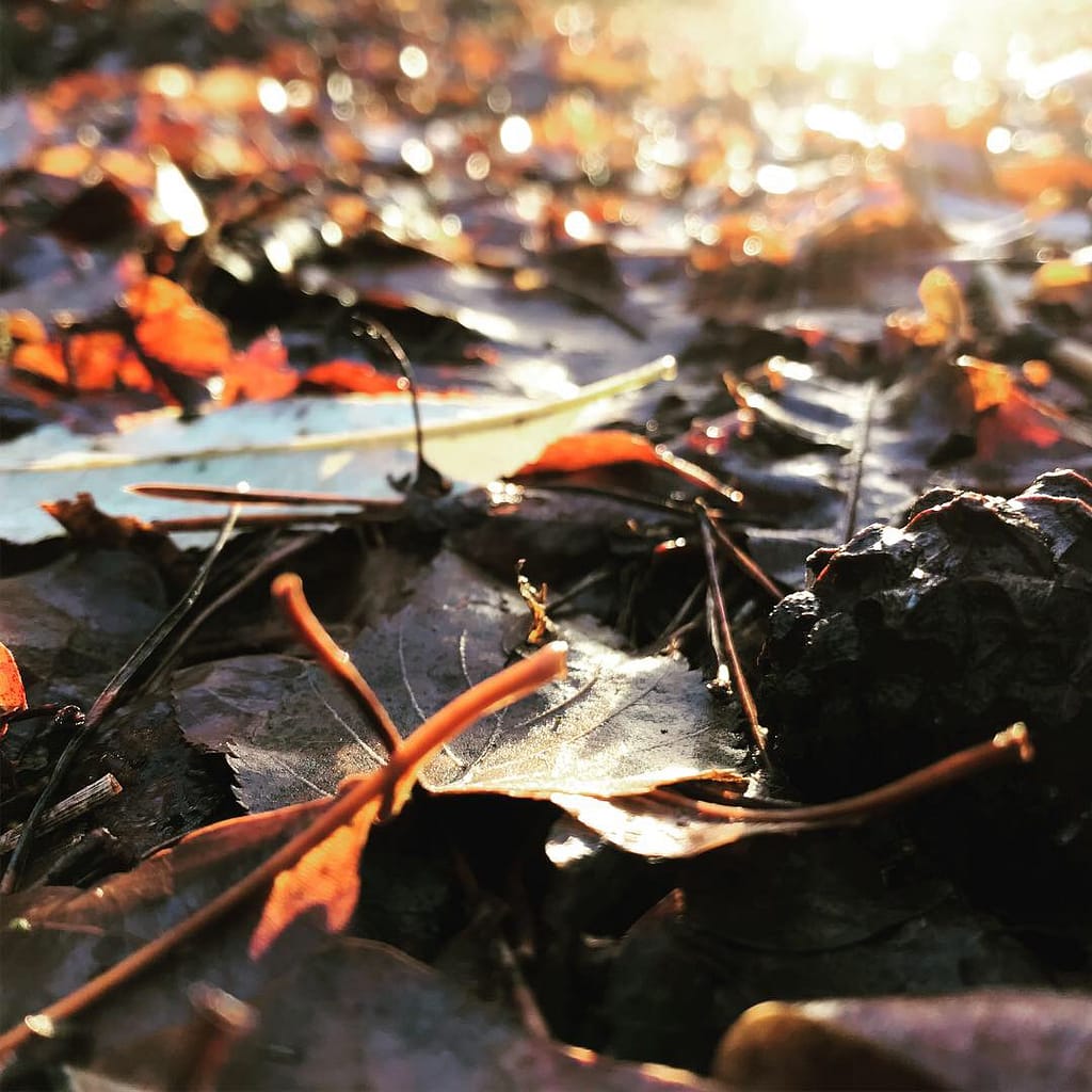 denkkracht vergroten