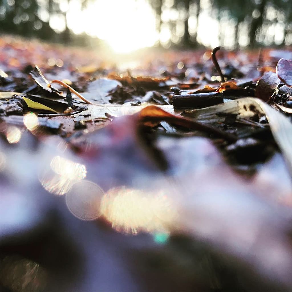 Positieve psychologie