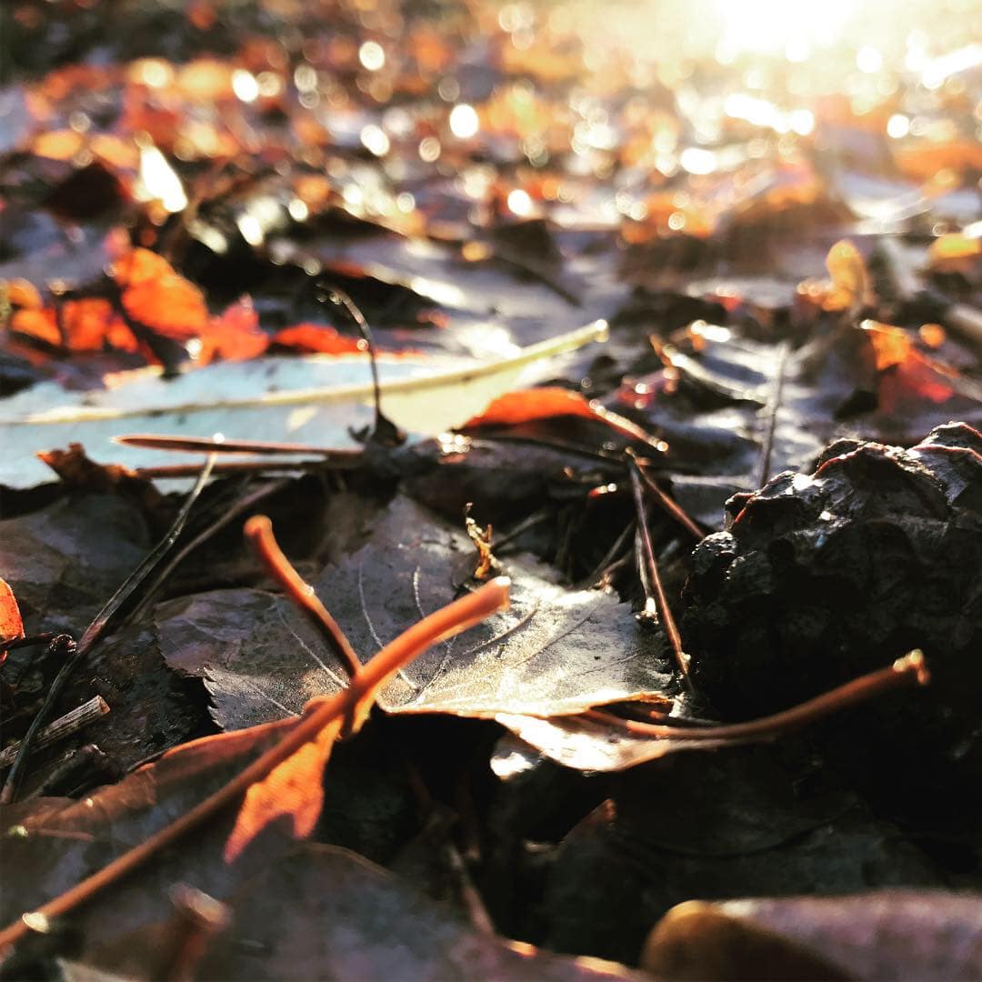 Ruimte voor teams en teamontwikkeling