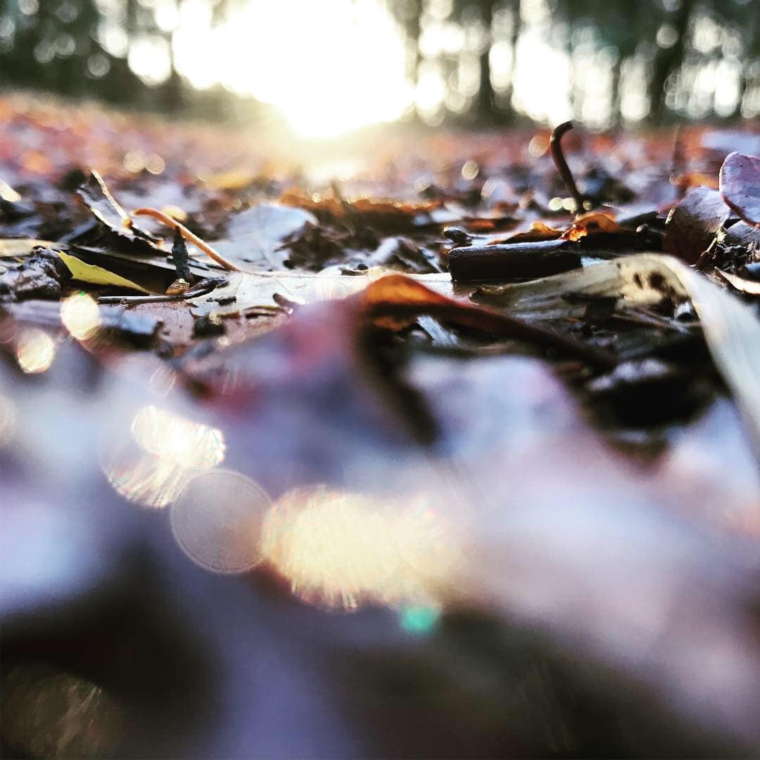 Mogelijkheden voor organisaties om te vergaderen in de natuur