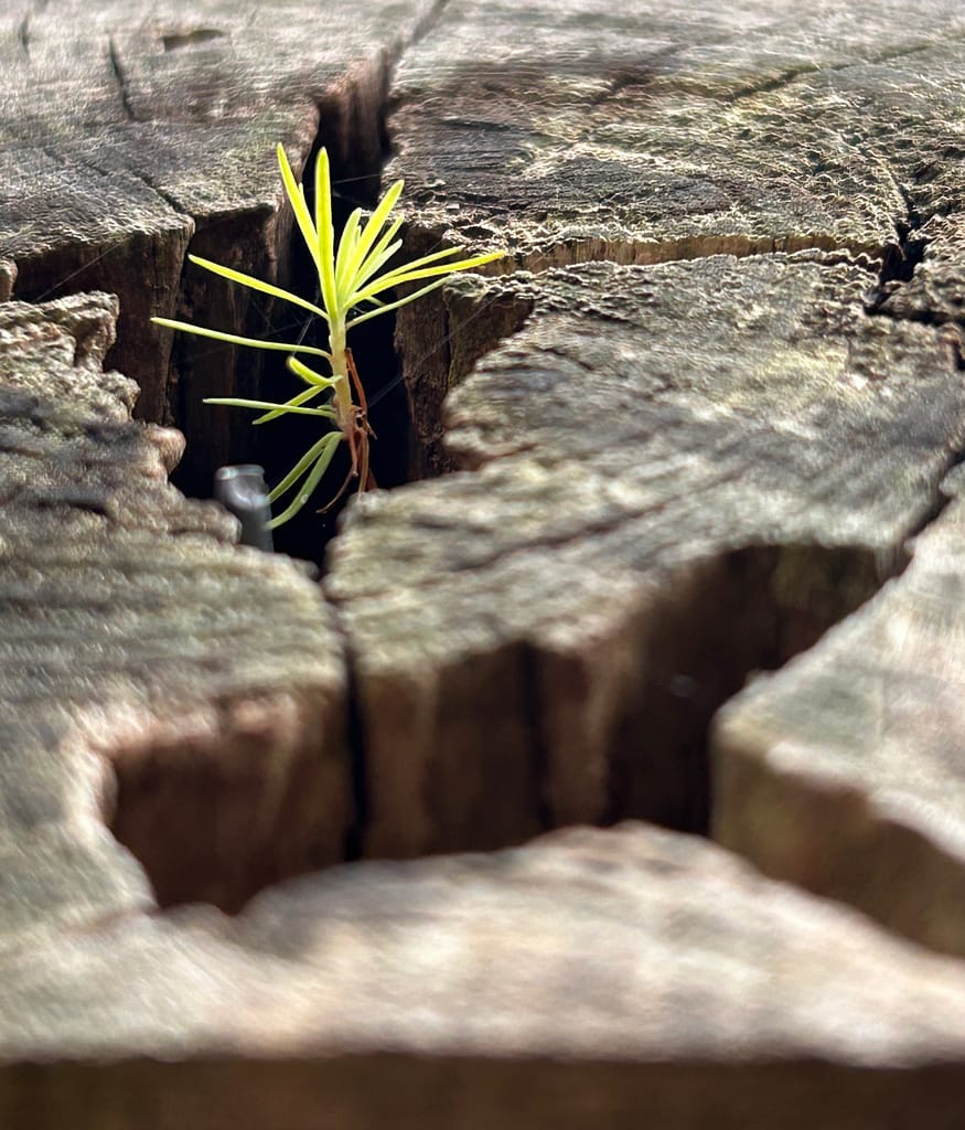 digitaal detoxen ruimte